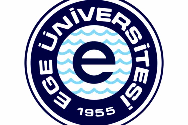 Asmin Çetin - Ege Üniversitesi Güzel Sanatlar Fakültesi